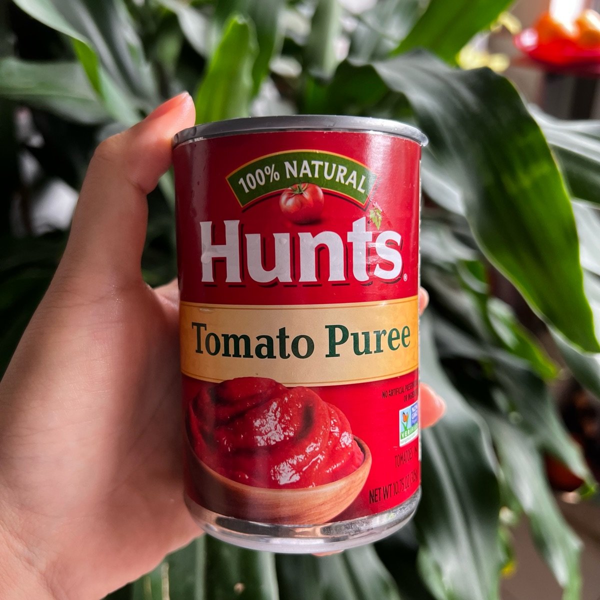 Hunt's Tomato Puree Reviews abillion