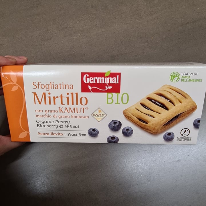 photo of Germinal Bio Sfogliatina mirtillo kamut shared by @patti95 on  02 Dec 2021 - review