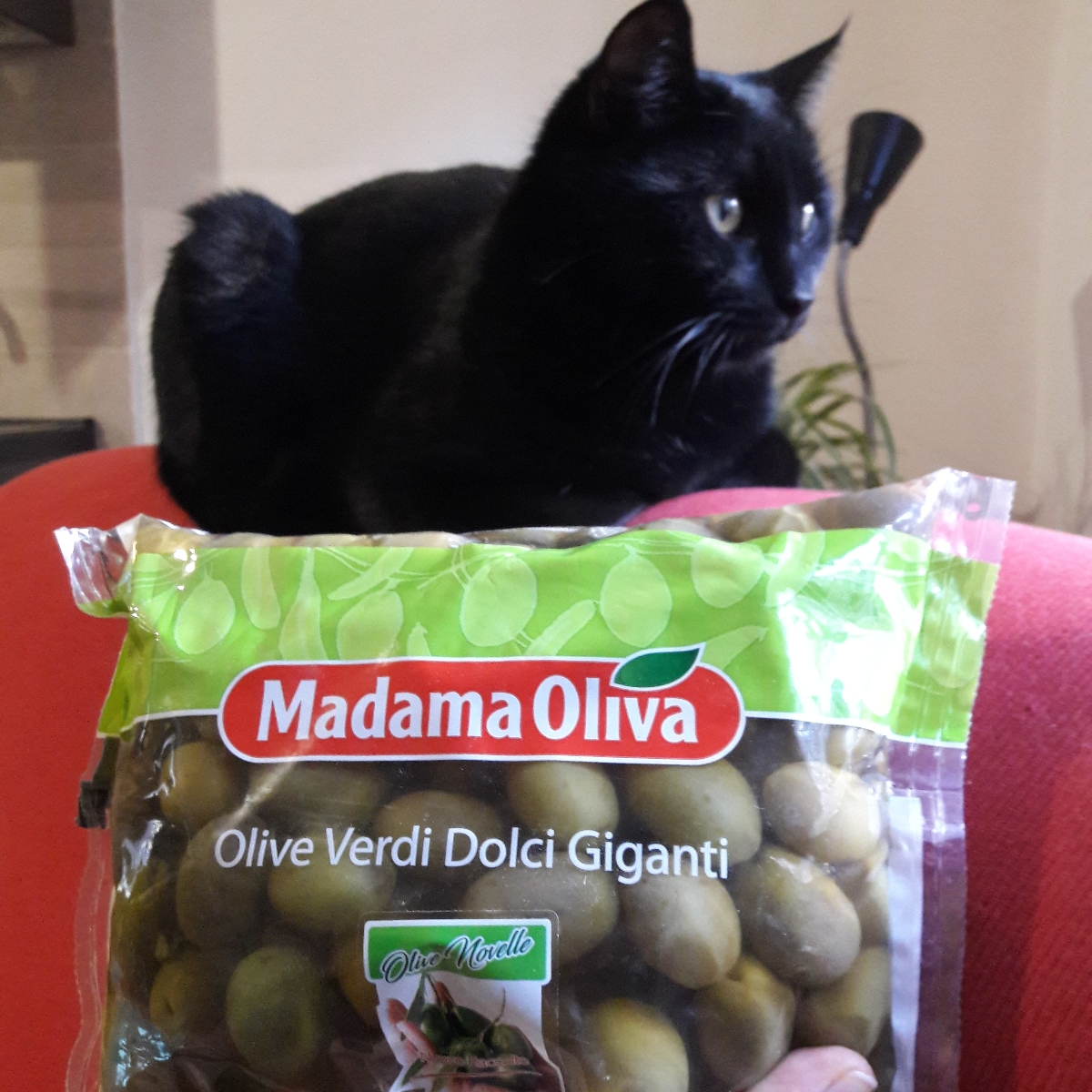 Madama Oliva Olive Verdi Dolci Giganti Reviews | abillion