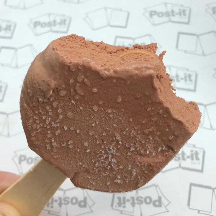 photo of Coconut Bliss Dark Chocolate Dairy-Free Frozen Dessert shared by @leisa on  03 Jun 2020 - review