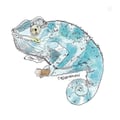 avatar of chameleonvegan