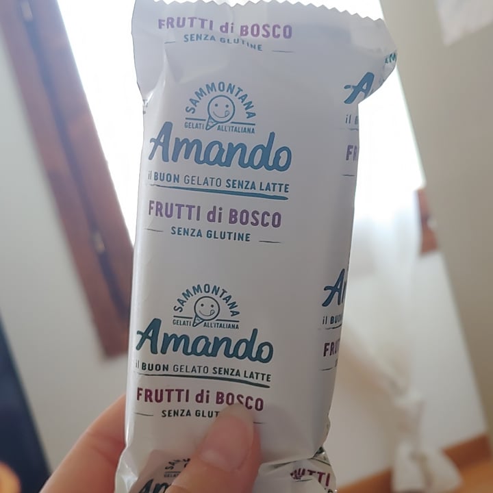 review photo of Sammontana biscotti gelato alla vaniglia shared by @giuliaaromano on 27 Jun 2022 - review