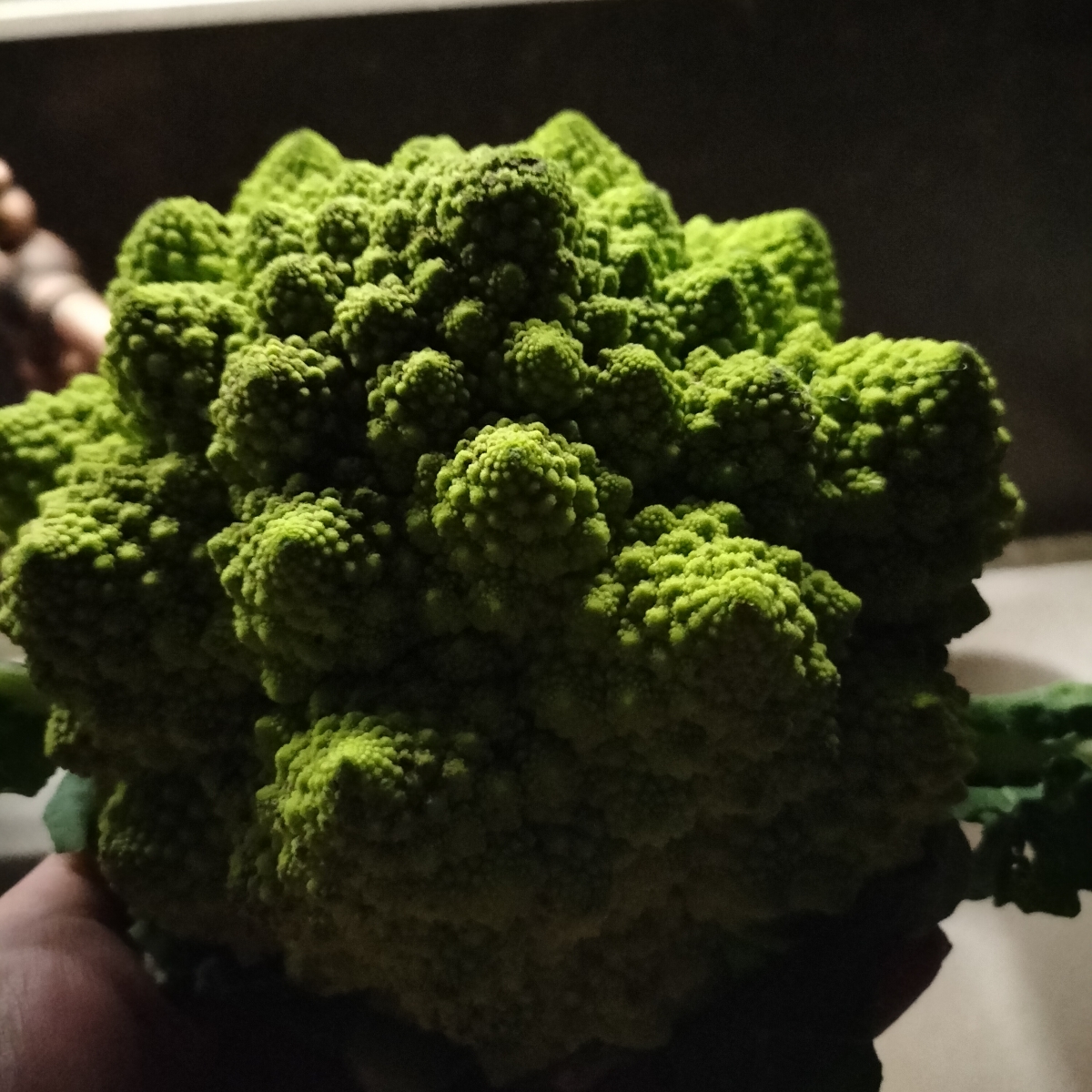 come cucinare il cavolo romanesco