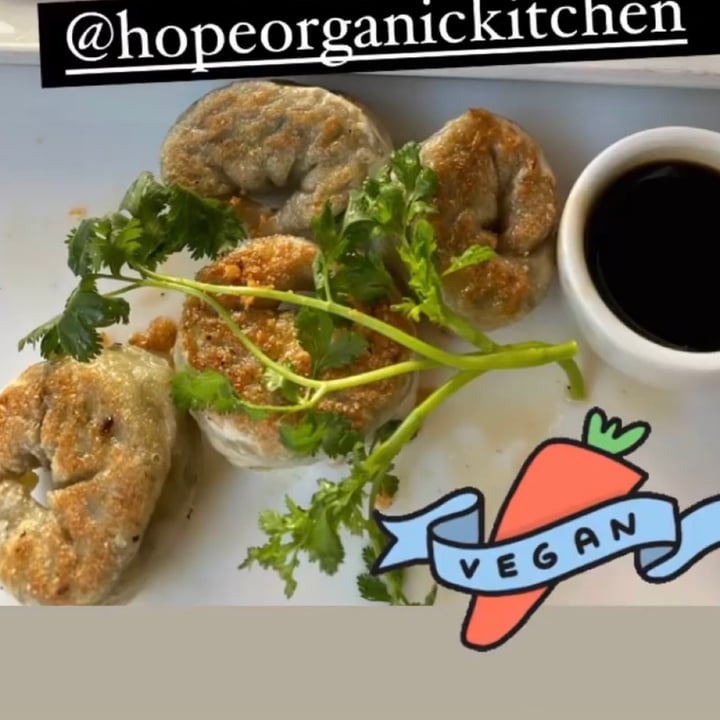 photo of H.O.P.E. Healthy Organic Positive Eating Orange chicken shared by @stephaniegerard on  25 Jul 2021 - review