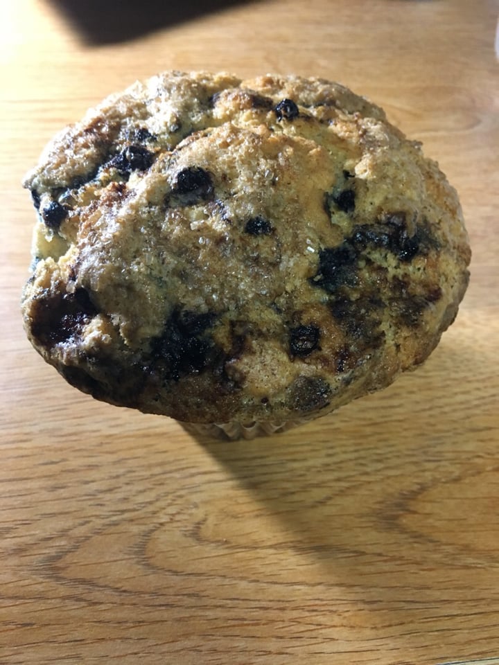 photo of Hard Times Cafe Vegan Blueberry Muffin shared by @plants on  13 Oct 2018 - review