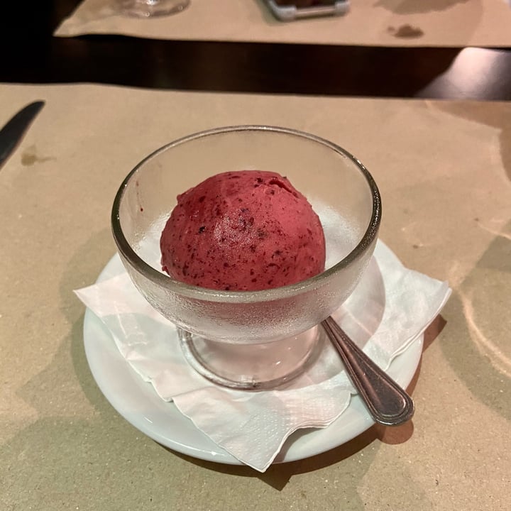 photo of Monnalisa Italian Restaurant Mix Berries Sorbet shared by @dafnelately on  16 Dec 2021 - review