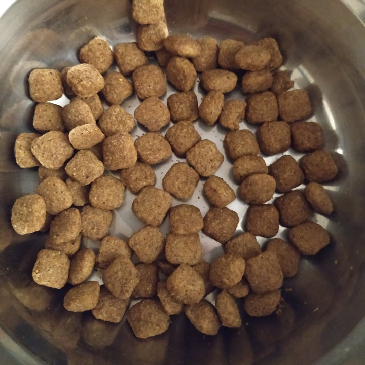 photo of Vegfood Pienso Vegano para Perros shared by @elkeandrea9 on  17 Apr 2021 - review