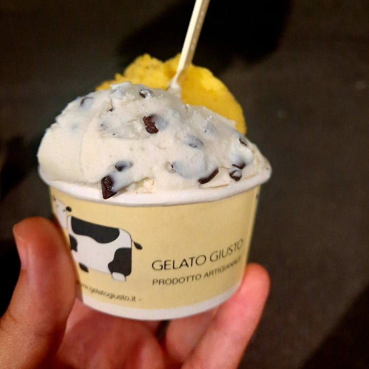 photo of Gelato Giusto coppetta shared by @beab on  14 Nov 2022 - review