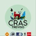 crastreviso21 @crastreviso21 profile image