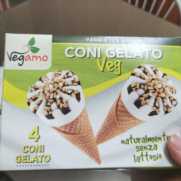 photo of Vegamo Ice Cream shared by @grazia96 on  05 Sep 2020 - review