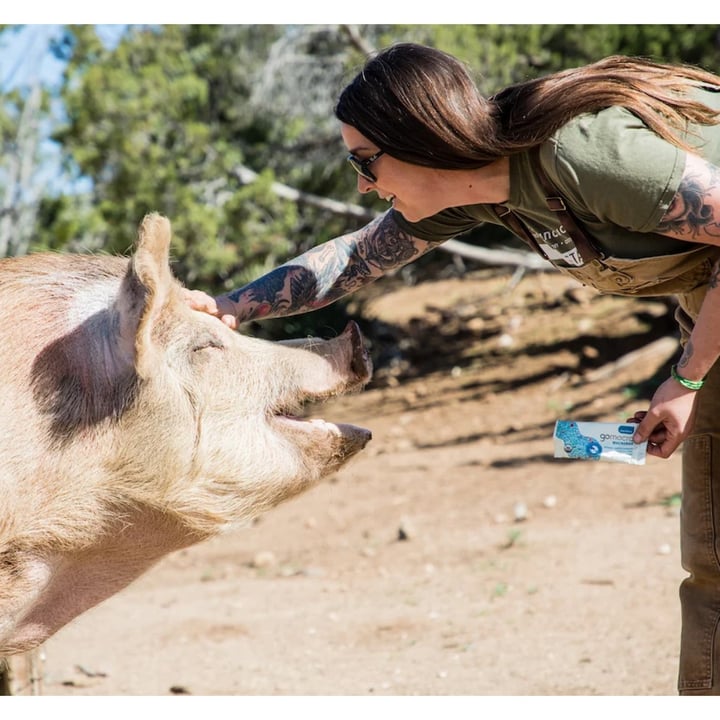 photo of GoMacro Protein Replenishment - Peanut butter shared by @farmsanctuary on  20 May 2022 - review