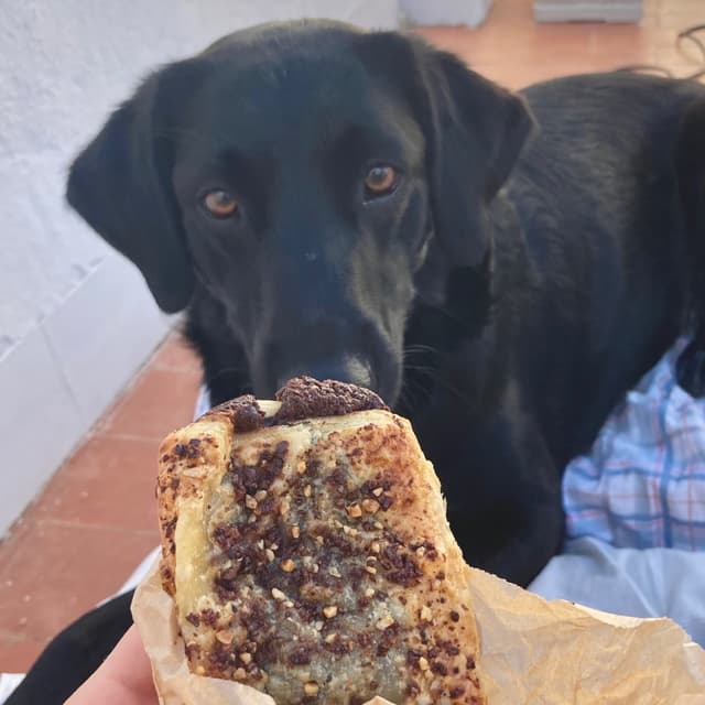 Foto del piatto “Caña”