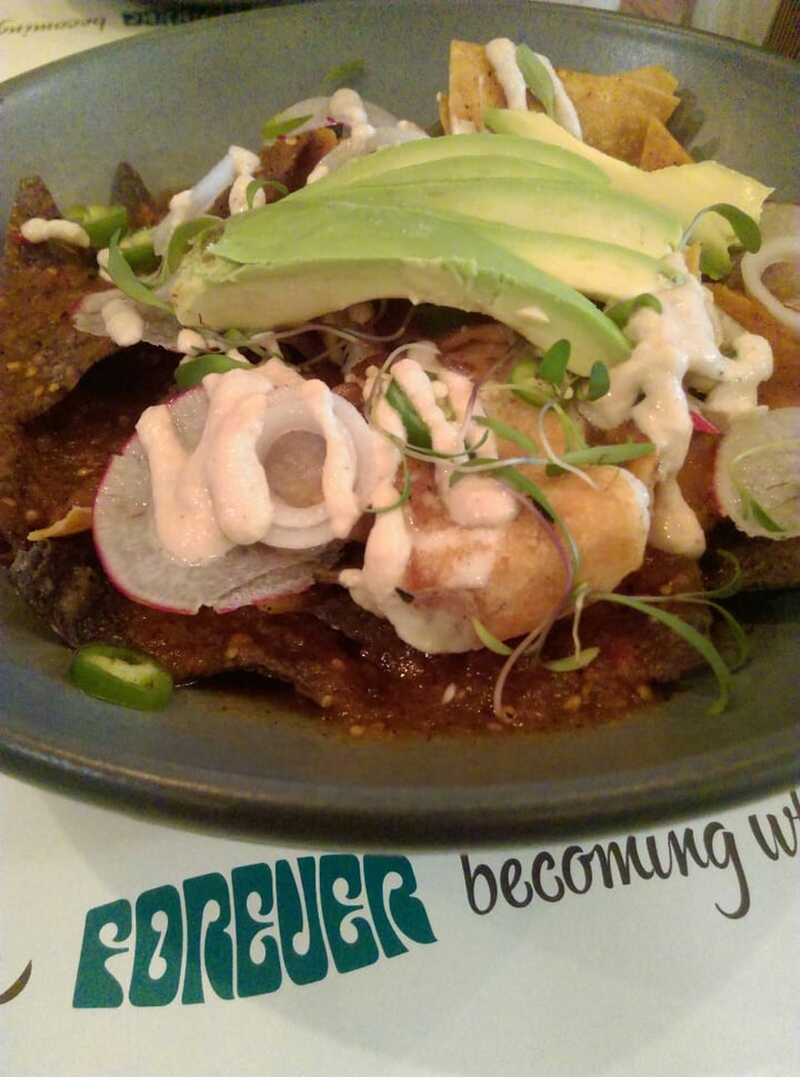 photo of Forever Vegano Chilaquiles de la Milpa shared by @chopan on  21 Dec 2019 - review