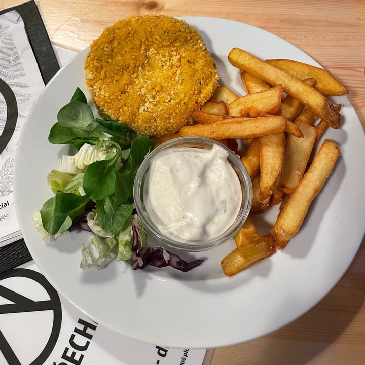 photo of Sociální bistro Střecha Fried cheese with french fries and mayonnaise shared by @valentinabojin on  28 May 2022 - review