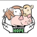 rifugiohope @rifugiohope profile image