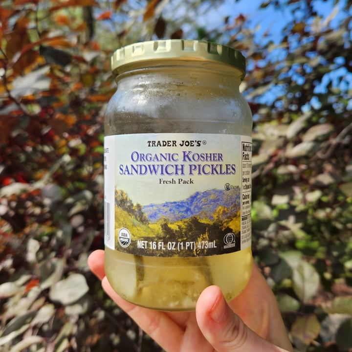 Trader Joe's Organic Kosher Sandwich Pickles Review abillion