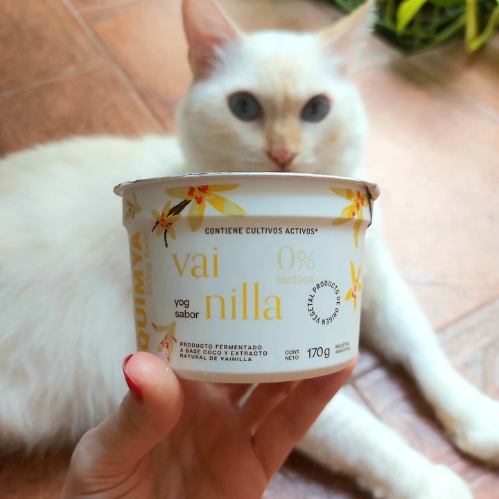 photo of Quimya Yogurt de Vainilla shared by @sofiadepaoli on  15 Feb 2021 - review