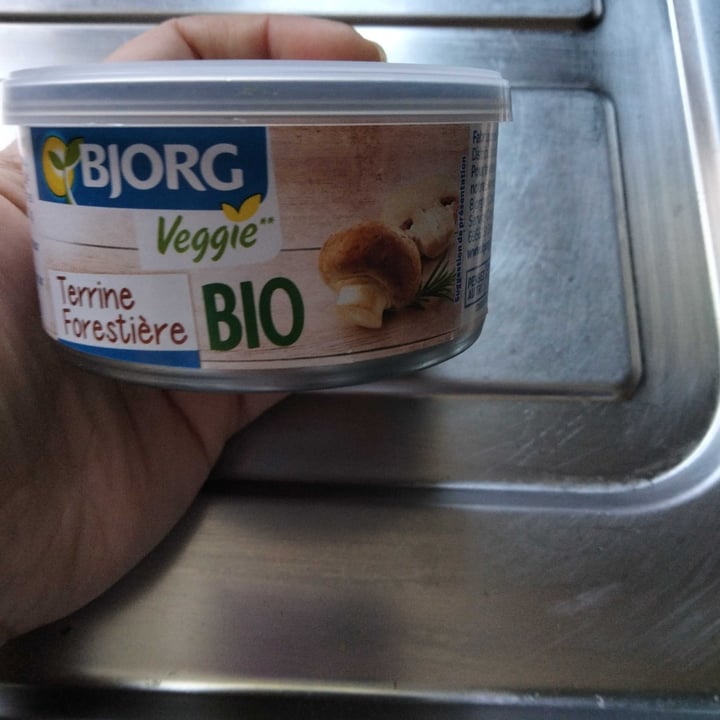 review photo of Bjorg Terrine Forestière shared by @vendethiel on 05 Apr 2021 - review