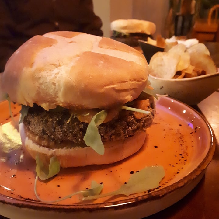 photo of Bar Botánico - La Suegra del Jardinero Superlenteja Jardinera Burger shared by @thestingyvegan on  07 Jun 2021 - review