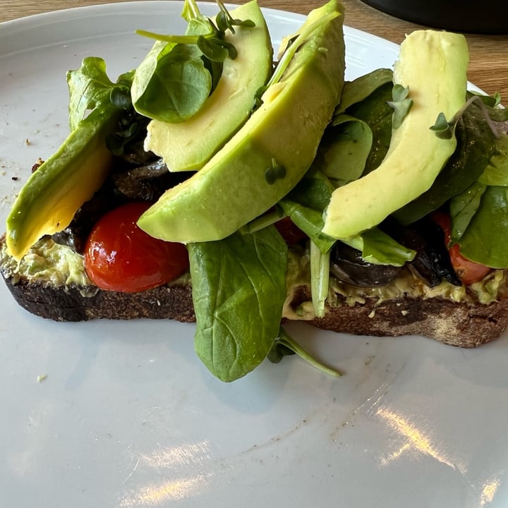 review photo of Bootlegger Coffee Company Avo, hummus, tomatoes & rocket on sourdough bread shared by @richellenaidoo on 12 Apr 2022 - review