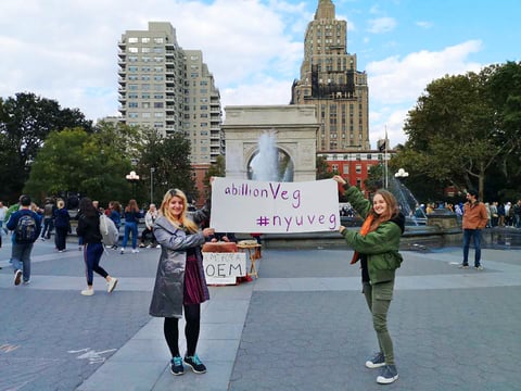 Vegan College Guide: New York University