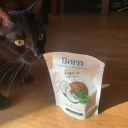Born