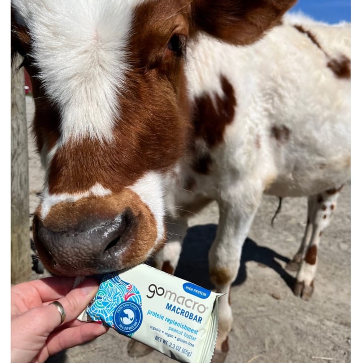 photo of GoMacro Protein Replenishment - Peanut butter shared by @farmsanctuary on  20 May 2022 - review