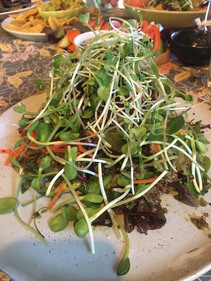 photo of Earth Tone vegetarian cafe and health shop Quinoa salad shared by @gillhibbitt on  25 Dec 2019 - review