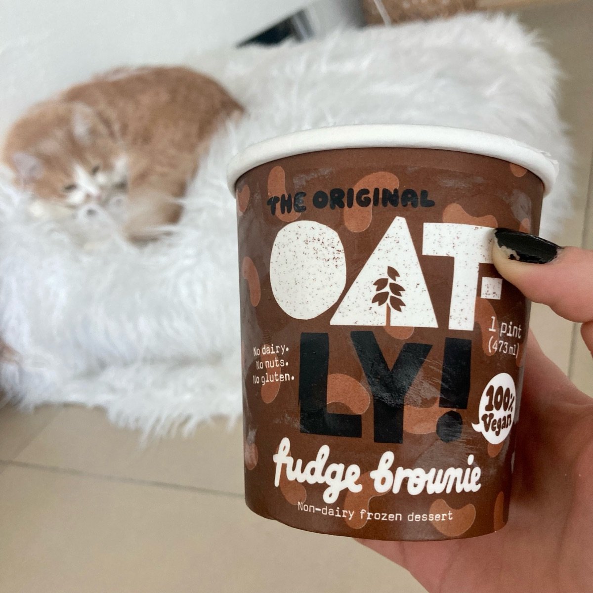 Oatly Fudge Brownie Reviews abillion