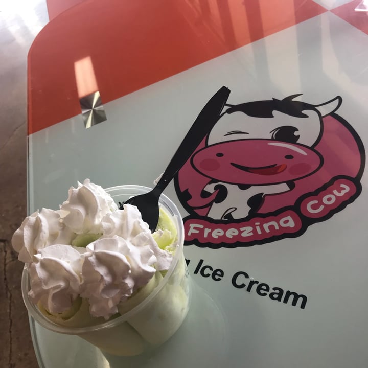 photo of Freezing Cow OKC Honeydew Whip Cream shared by @lovemeganphotography on  06 Jun 2022 - review
