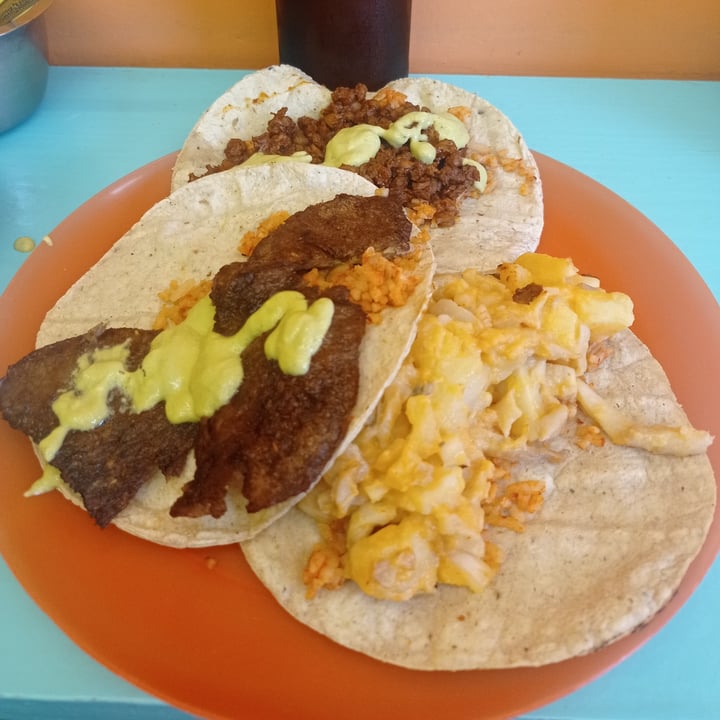 photo of Tacotlan Vegano Tacos Veganos shared by @mayraponze on  17 May 2021 - review