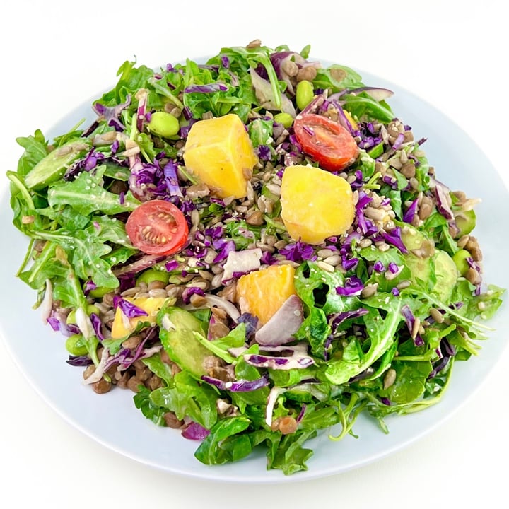 photo of Daily Fuel PDX Mango & Lentil Salad shared by @pdxveg on  04 Jul 2022 - review