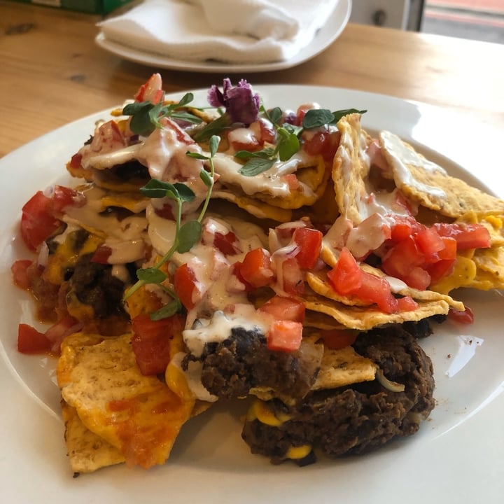photo of Plant - Camps bay Nachos shared by @mothercitymatt on  02 Jan 2020 - review