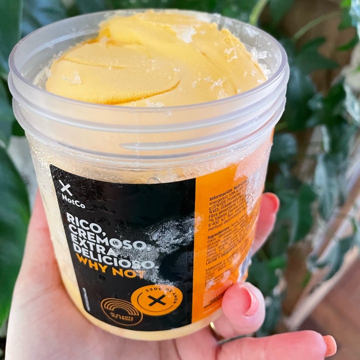 photo of NotCo Not Icecream Mango Maracuyá shared by @pini2308 on  03 Oct 2022 - review