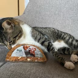 Paiarrop
