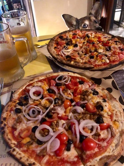 Yolo Pizza