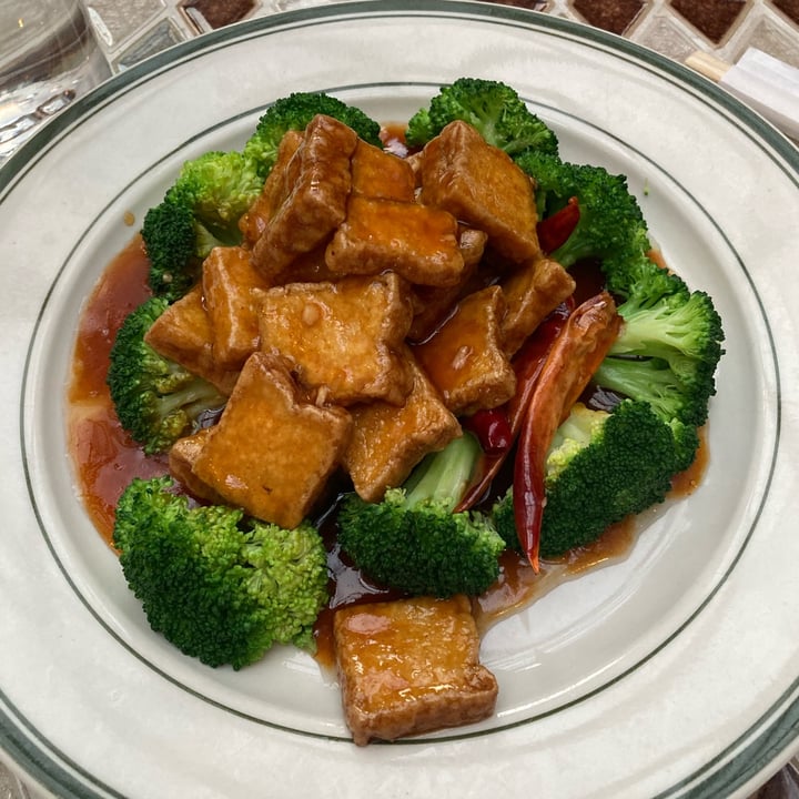 photo of Luanne's Wild Ginger General Tso’s Tofu shared by @avecdeschiens on  25 Jun 2022 - review