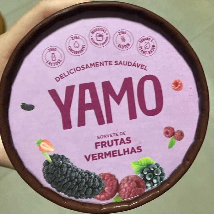 photo of Yamo Sorvete de frutas vermelhas shared by @valentinealvim on  08 Jan 2022 - review
