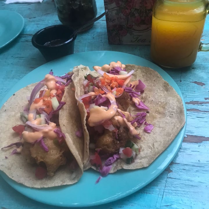photo of Tomeiro, garnacha vegana Taco Ensenada shared by @enriquegg on  23 Jun 2021 - review