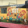 Xut