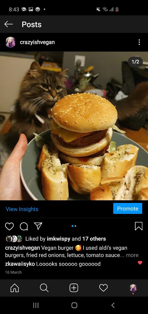 photo of ALDI No Beef Burgers shared by @crazyishvegan on  31 Mar 2020 - review