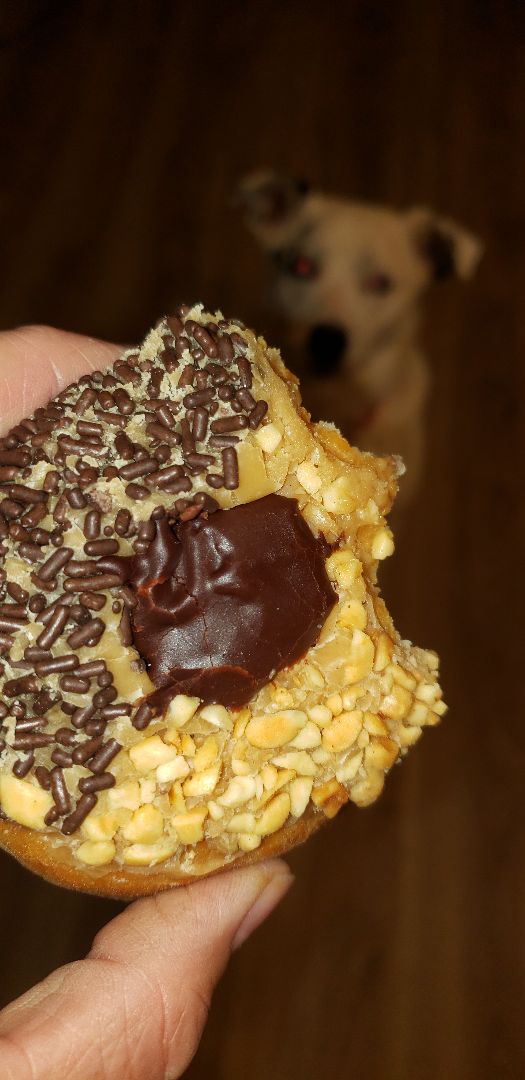photo of Glam Doll Donuts Vegan Cosmopolitan Girl shared by @ambularfortheanimals on  18 Jul 2019 - review