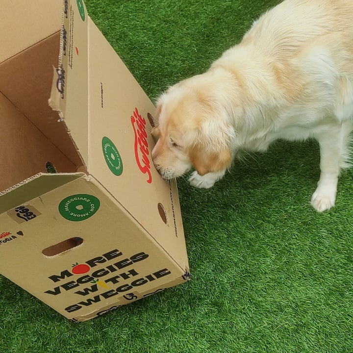 review photo of Sweggie Zucchine shared by @thekindseed on 31 May 2022 - review