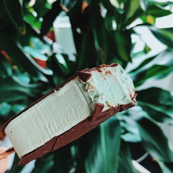 photo of Pana Organic Mint dairy free ice cream sticks shared by @sazzie on  22 Mar 2020 - review