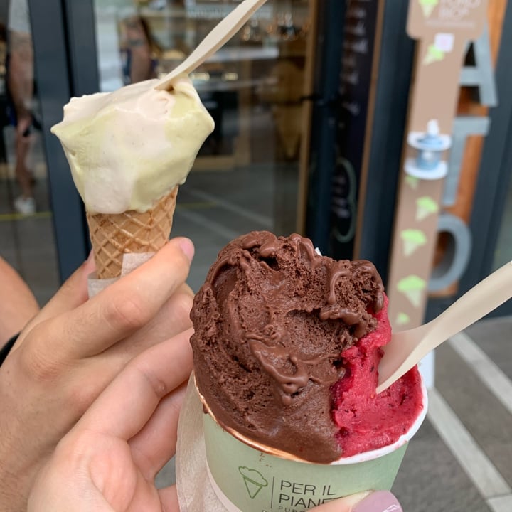 photo of Puro & Bio gelato shared by @vegansofveneto on  24 Jun 2022 - review