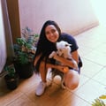 samarademoura @samarademoura profile image
