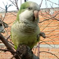 nanni696 @nanni696 profile image
