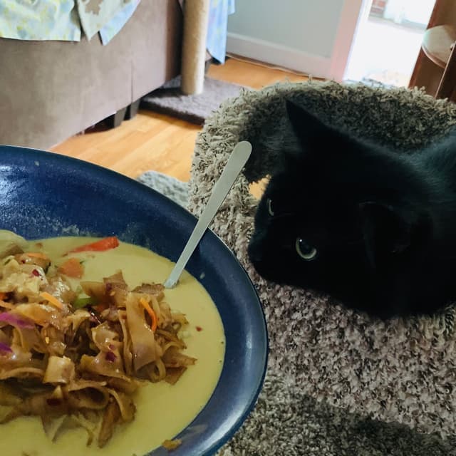 Photo of the dish “Yellow Curry”