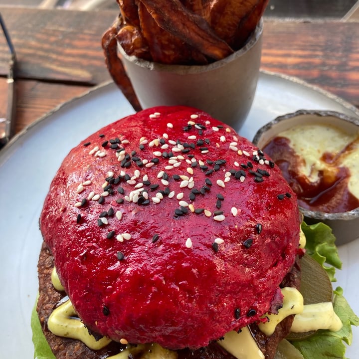 photo of Scheckter's RAW Gourmet The Raw Burger shared by @robyne on  23 Aug 2021 - review
