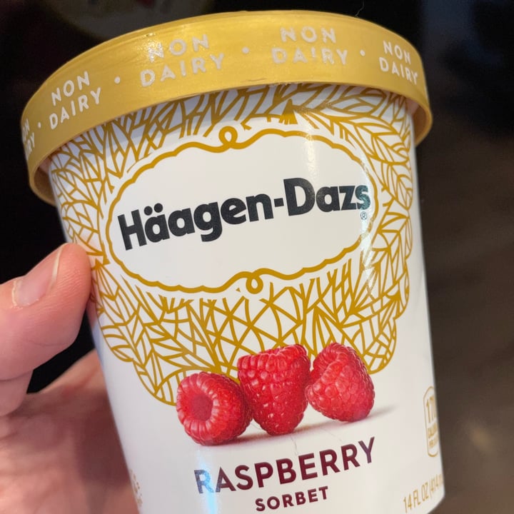 photo of Häagen-Dazs Raspberry Sorbet shared by @kacy on  25 May 2022 - review